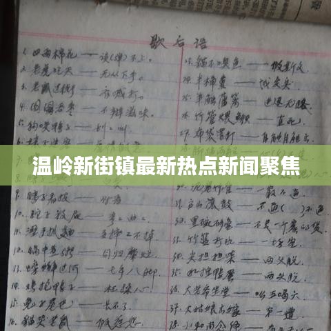 温岭新街镇最新热点新闻聚焦