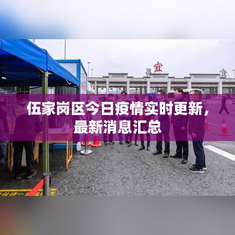 伍家岗区今日疫情实时更新，最新消息汇总
