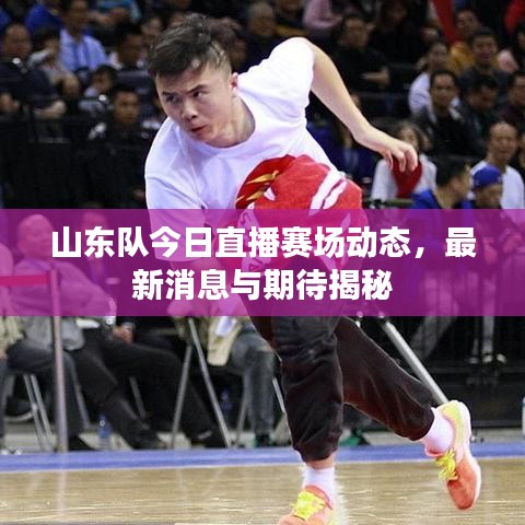 山东队今日直播赛场动态，最新消息与期待揭秘