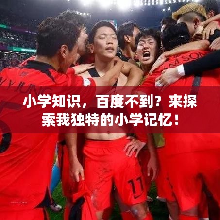 小学知识，百度不到？来探索我独特的小学记忆！