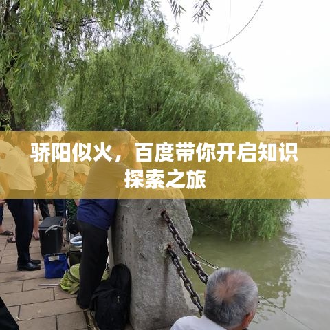 骄阳似火，百度带你开启知识探索之旅