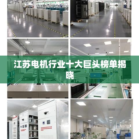 江苏电机行业十大巨头榜单揭晓