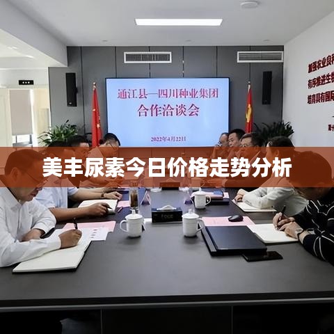 美丰尿素今日价格走势分析