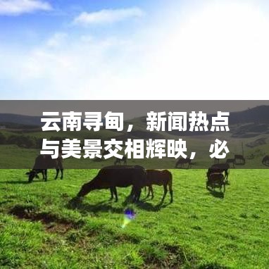 窗明几净