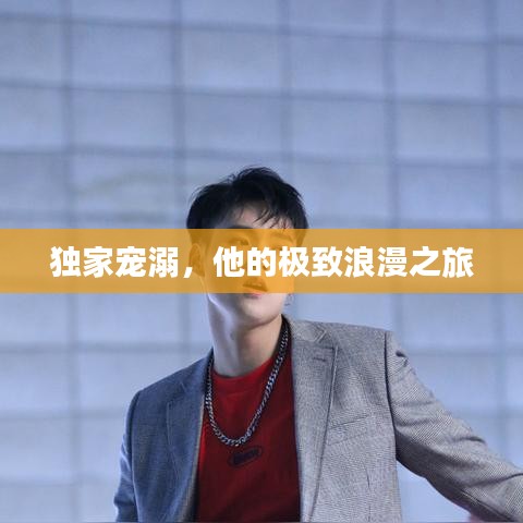 独家宠溺，他的极致浪漫之旅