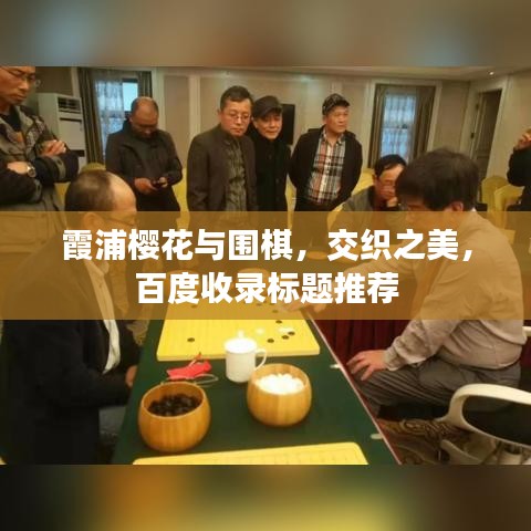 霞浦樱花与围棋，交织之美，百度收录标题推荐