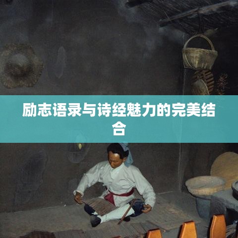 2025年4月 第4页