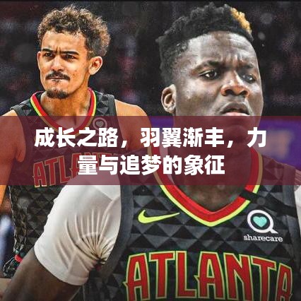 成长之路，羽翼渐丰，力量与追梦的象征