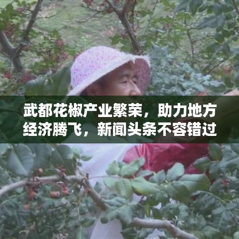 武都花椒产业繁荣，助力地方经济腾飞，新闻头条不容错过！