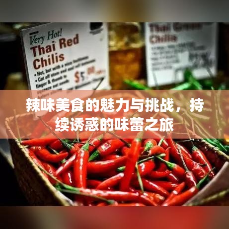 辣味美食的魅力与挑战，持续诱惑的味蕾之旅