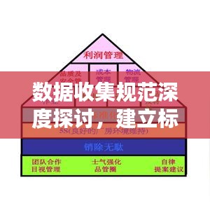 数据收集规范深度探讨，建立标准化流程的关键要素