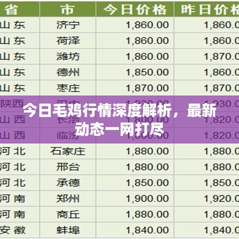 别出新意