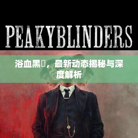 浴血黑幫，最新动态揭秘与深度解析