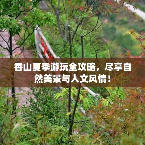 香山夏季游玩全攻略，尽享自然美景与人文风情！