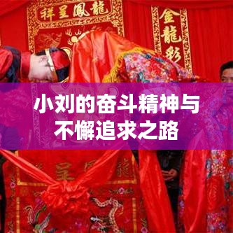 小刘的奋斗精神与不懈追求之路