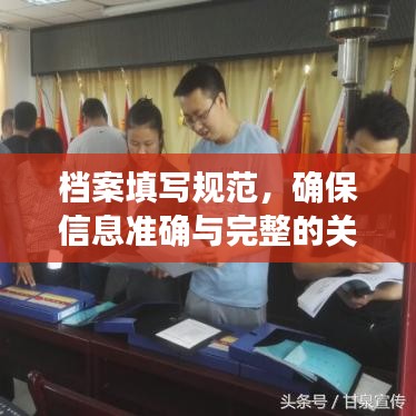 档案填写规范，确保信息准确与完整的关键步骤详解