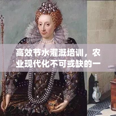 高效节水灌溉培训，农业现代化不可或缺的一环