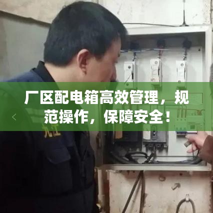 厂区配电箱高效管理，规范操作，保障安全！