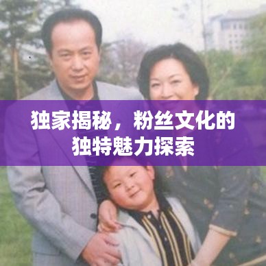 独家揭秘，粉丝文化的独特魅力探索