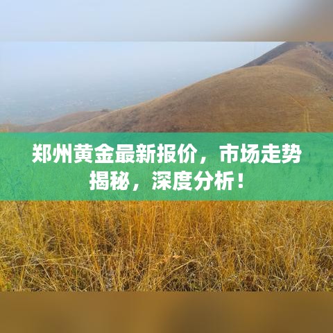 郑州黄金最新报价，市场走势揭秘，深度分析！