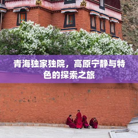 青海独家独院，高原宁静与特色的探索之旅