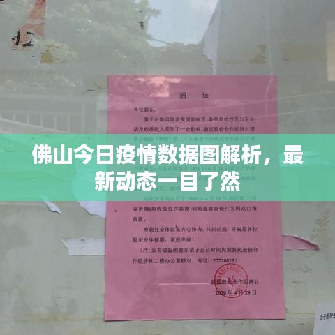 佛山今日疫情数据图解析，最新动态一目了然