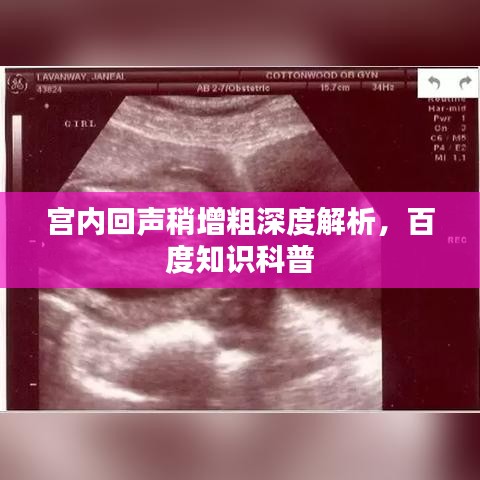 宫内回声稍增粗深度解析，百度知识科普