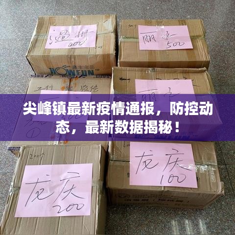 尖峰镇最新疫情通报，防控动态，最新数据揭秘！