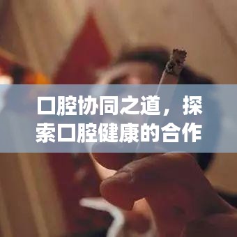 口腔协同之道，探索口腔健康的合作与发展