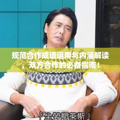 规范合作成语运用与内涵解读，双方合作的必备指南！