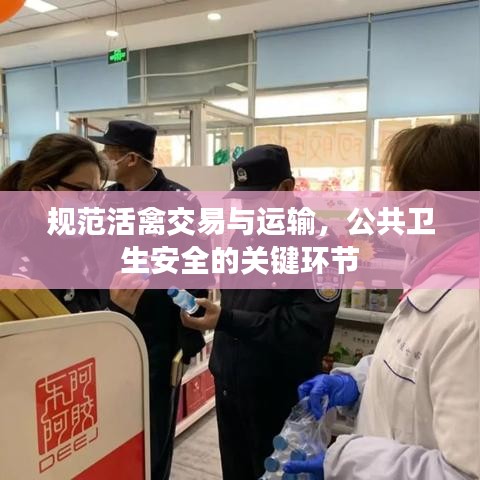 规范活禽交易与运输，公共卫生安全的关键环节