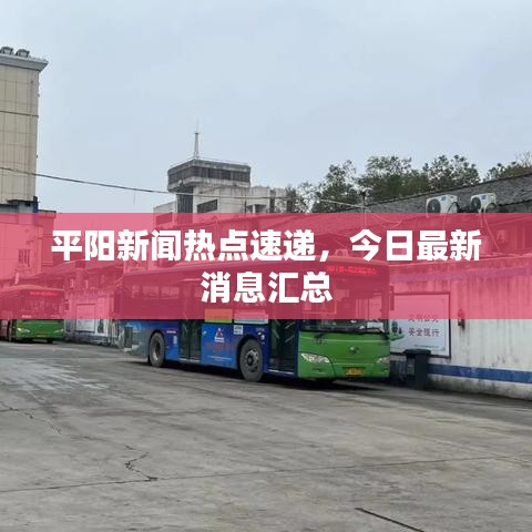 平阳新闻热点速递，今日最新消息汇总