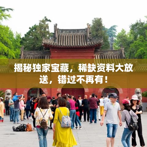 揭秘独家宝藏，稀缺资料大放送，错过不再有！