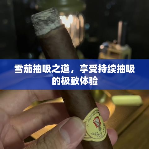 雪茄抽吸之道，享受持续抽吸的极致体验