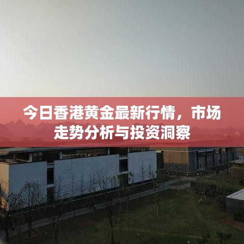 今日香港黄金最新行情，市场走势分析与投资洞察