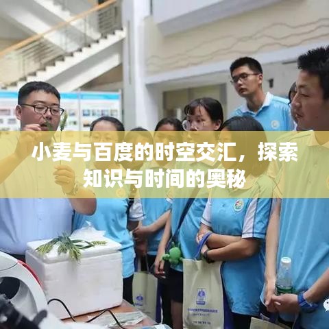 小麦与百度的时空交汇，探索知识与时间的奥秘