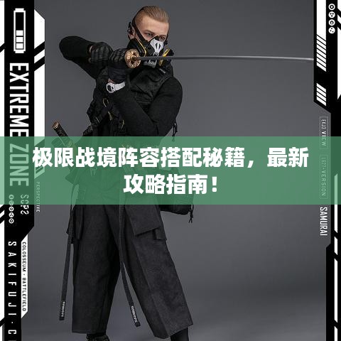 极限战境阵容搭配秘籍，最新攻略指南！