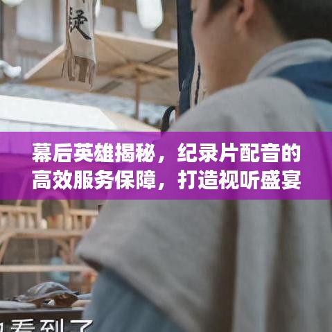 幕后英雄揭秘，纪录片配音的高效服务保障，打造视听盛宴的传奇之旅