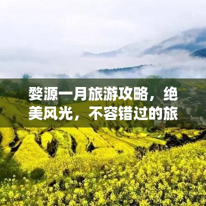 婺源一月旅游攻略，绝美风光，不容错过的旅游指南