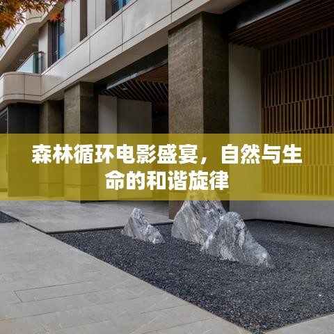 森林循环电影盛宴，自然与生命的和谐旋律