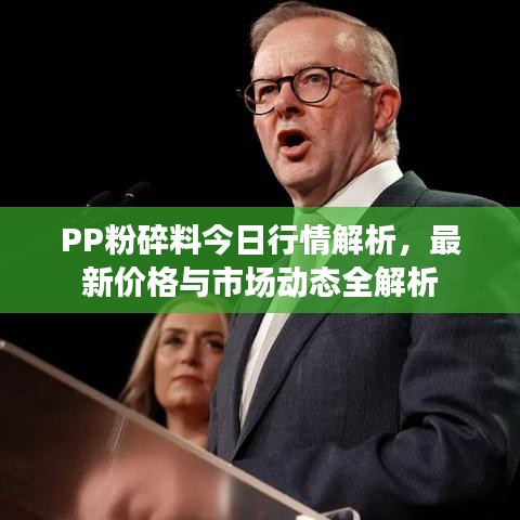 PP粉碎料今日行情解析，最新价格与市场动态全解析