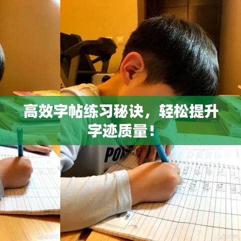 高效字帖练习秘诀，轻松提升字迹质量！