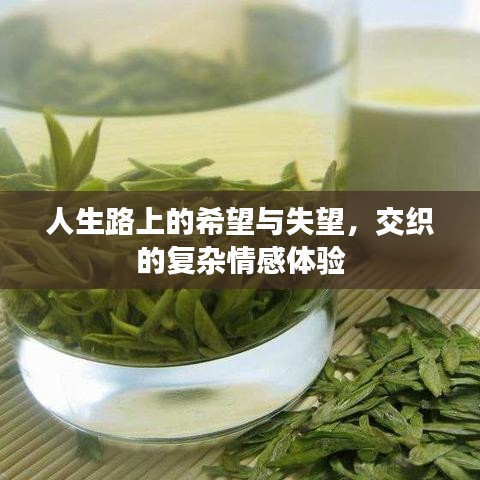 人生路上的希望与失望，交织的复杂情感体验