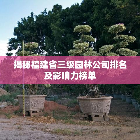 揭秘福建省三级园林公司排名及影响力榜单