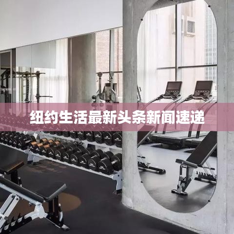 纽约生活最新头条新闻速递