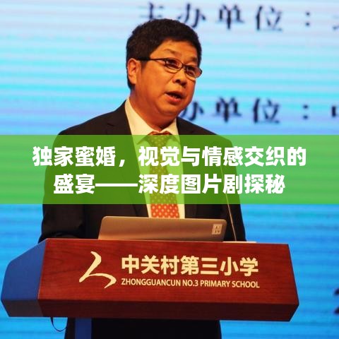 独家蜜婚，视觉与情感交织的盛宴——深度图片剧探秘
