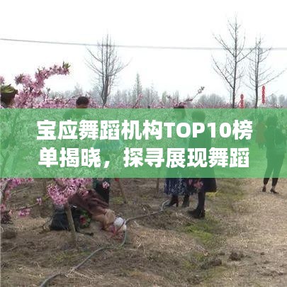 宝应舞蹈机构TOP10榜单揭晓，探寻展现舞蹈魅力的最佳场所