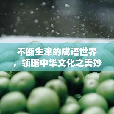 不断生津的成语世界，领略中华文化之美妙