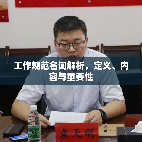 工作规范名词解析，定义、内容与重要性