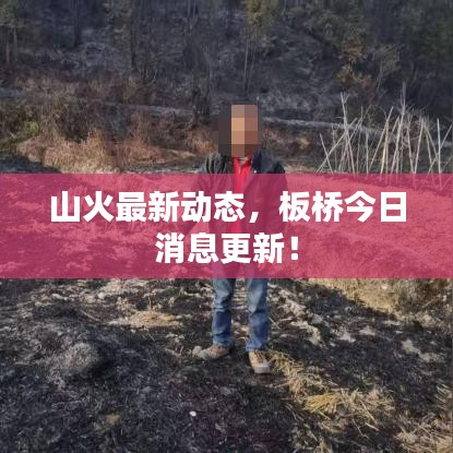 山火最新动态，板桥今日消息更新！